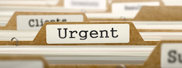 Learning Organizations (V): Guía rápida para iniciar el aprendizaje continuo en la empresa